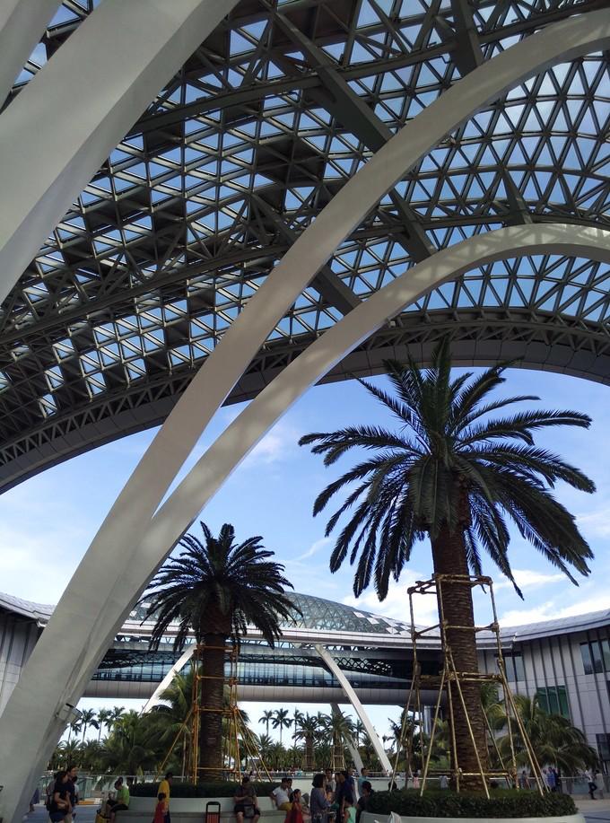 预支一段未来的旅行，带着父母去度假——三亚