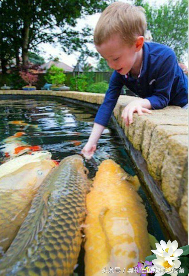 渔夫与美人鱼的故事,美人鱼和小鱼的故事文字