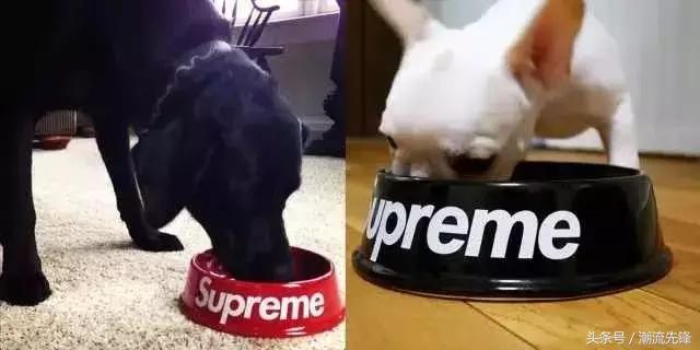 涓浗鏈塻upreme鐨勯棬搴椾箞,supreme蹇呴』鍒颁腑鍥藉紑搴楀悧