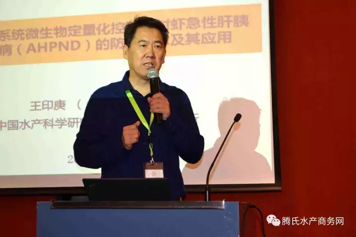 对虾黑死病,对虾偷死严重检测什么指标