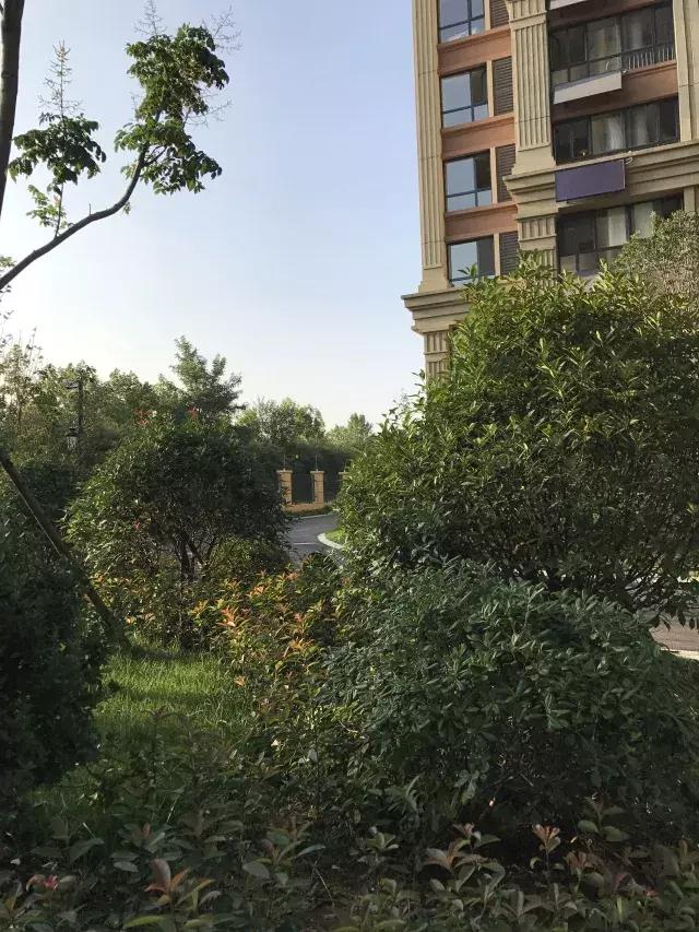 日照裕升华庭东沿街,日照裕升华庭二期怎么样