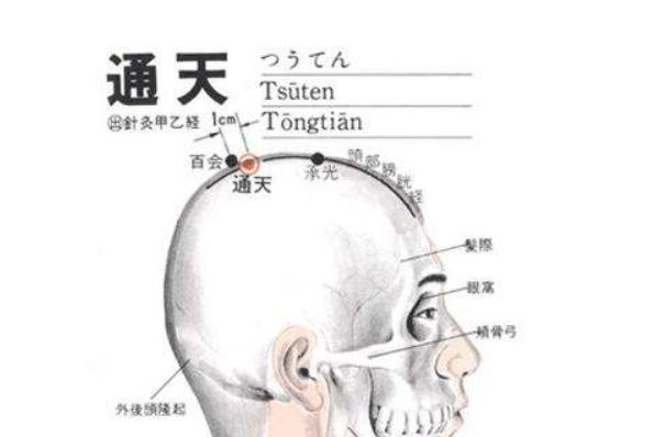 全身解毒最快的穴位,打通全身经脉的穴位