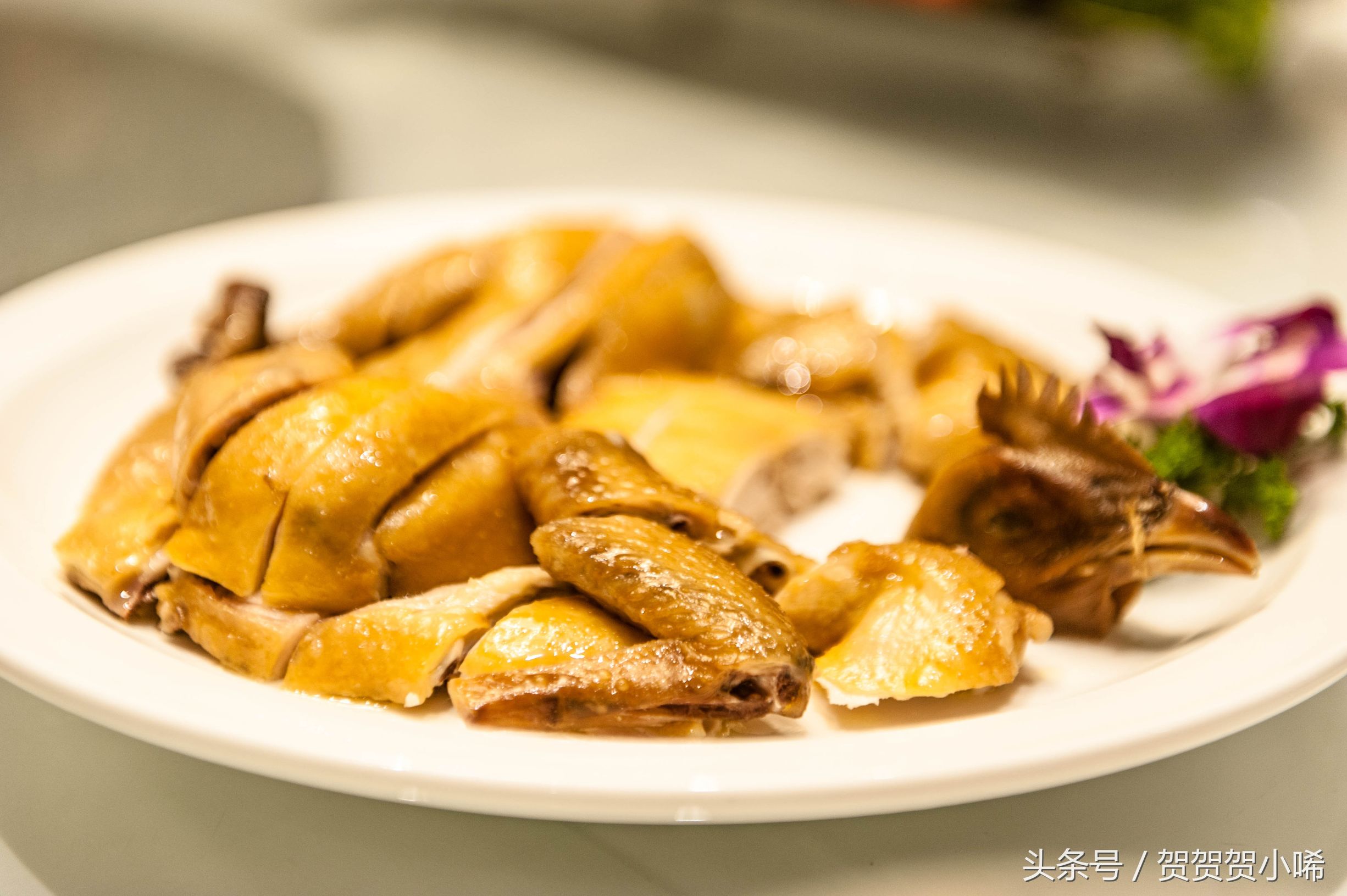 广州十大冷门自驾,广州自驾游最佳线路图最新