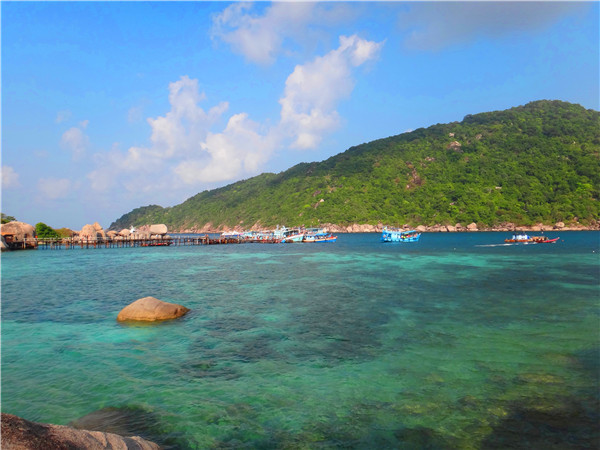 涛岛南园岛浮潜快艇一日游,苏梅涛岛浮潜
