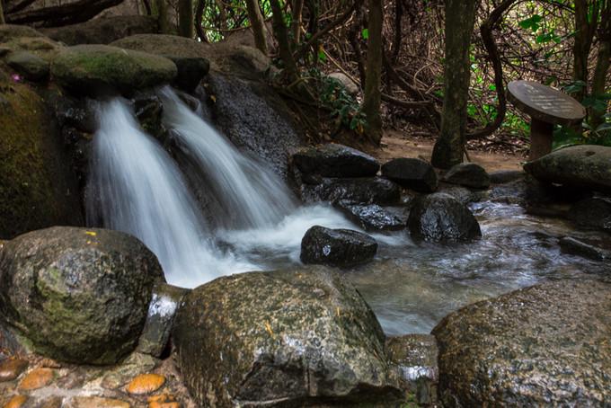 预支一段未来的旅行，带着父母去度假——三亚