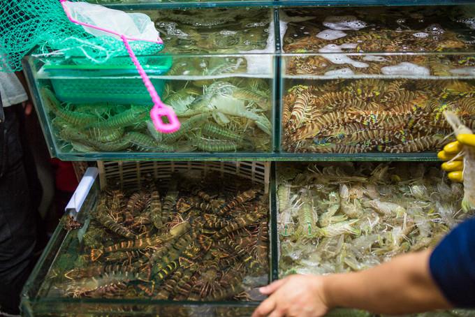 预支一段未来的旅行，带着父母去度假——三亚