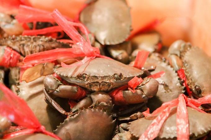 预支一段未来的旅行，带着父母去度假——三亚