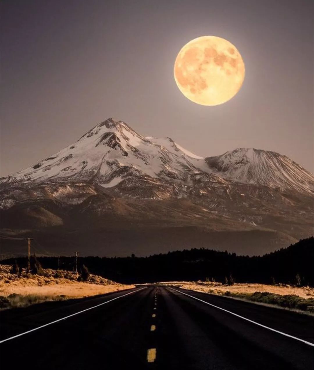 因为我们是青年，所以要志在远方？但是他们在等你回家，安陶说