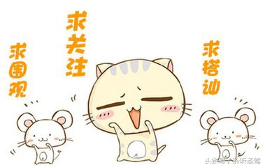 十代思域改音响最新,十代思域音响改装推荐