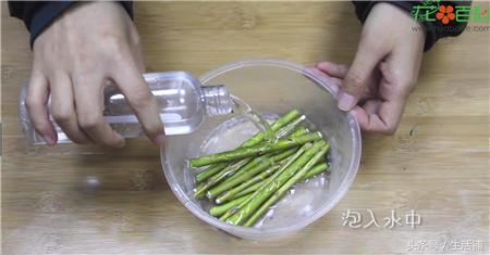 扦插不浇水容易出根,扦插不晾根能活么