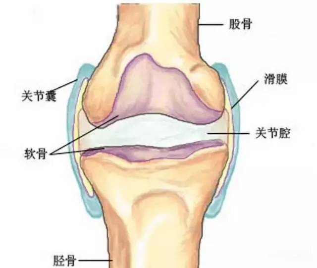 膝盖发酸发软无力必须蜷着,膝盖发软发酸怎么回事