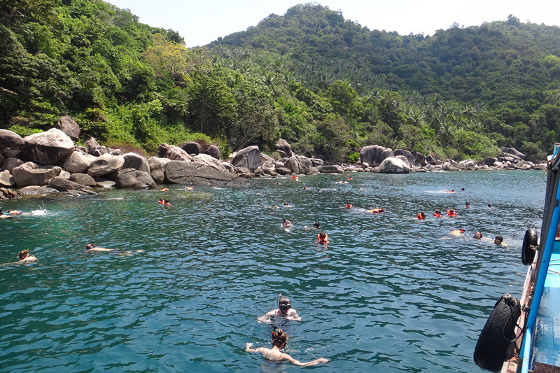 涛岛南园岛浮潜快艇一日游,苏梅涛岛浮潜
