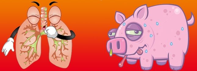 猪流行性感冒（猪流感）用中西兽药防治方案