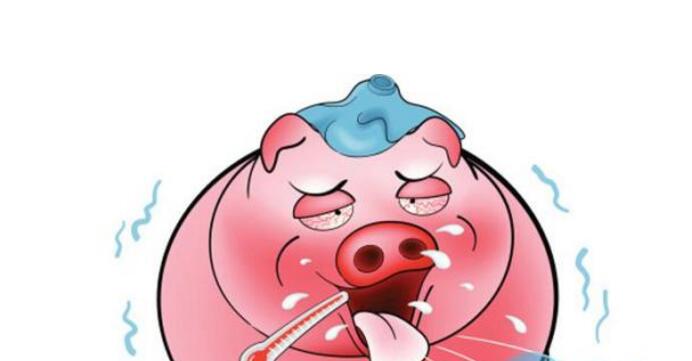 猪流行性感冒（猪流感）用中西兽药防治方案