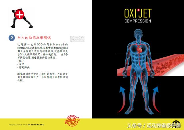 首发:跑友群测——意大利MICO专业压缩小腿袜