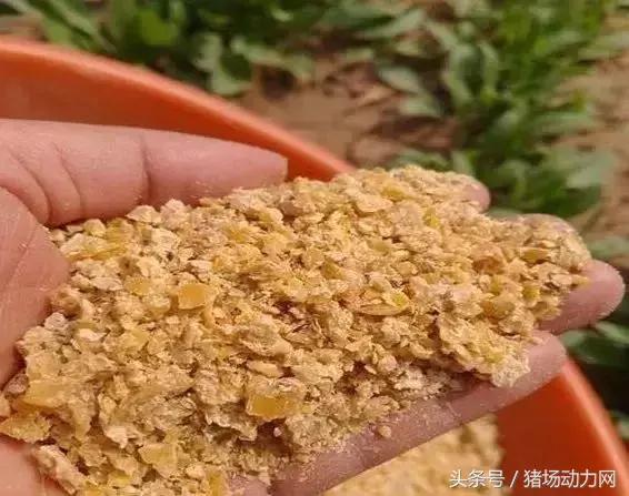豆粕造假,膨化豆粕和普通豆粕怎么鉴别