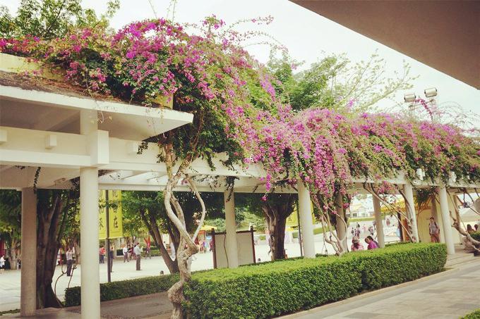 预支一段未来的旅行，带着父母去度假——三亚