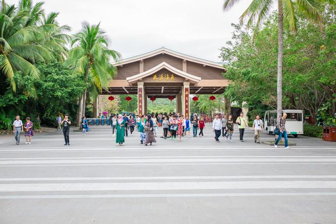 预支一段未来的旅行，带着父母去度假——三亚