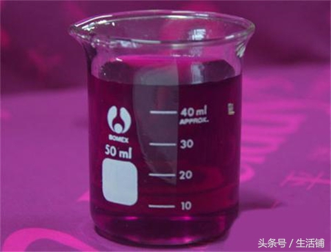 扦插不浇水容易出根,扦插不晾根能活么