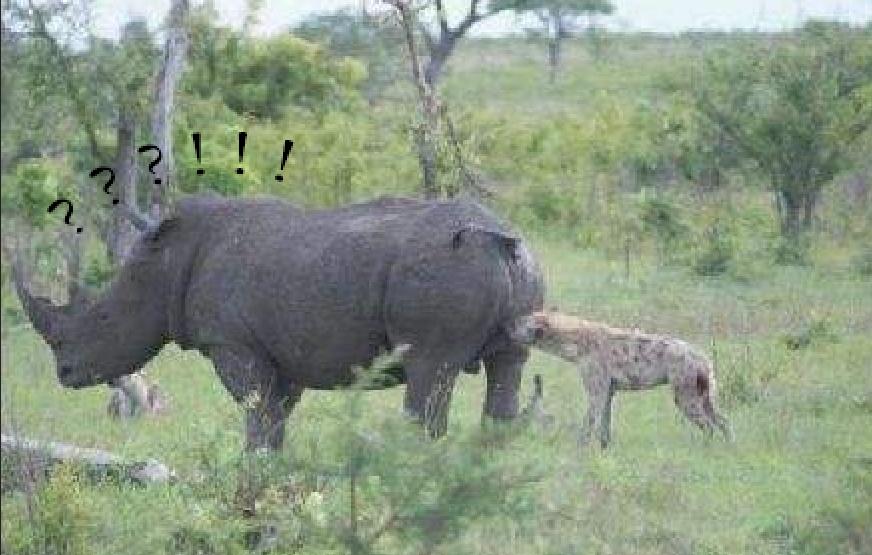 “掏肛”二哥继“平头哥”后又一位扛把子