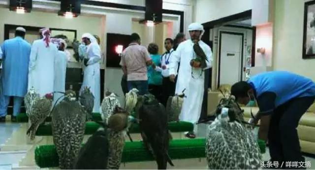 你还见过哪些奇葩职业,19个奇葩职业