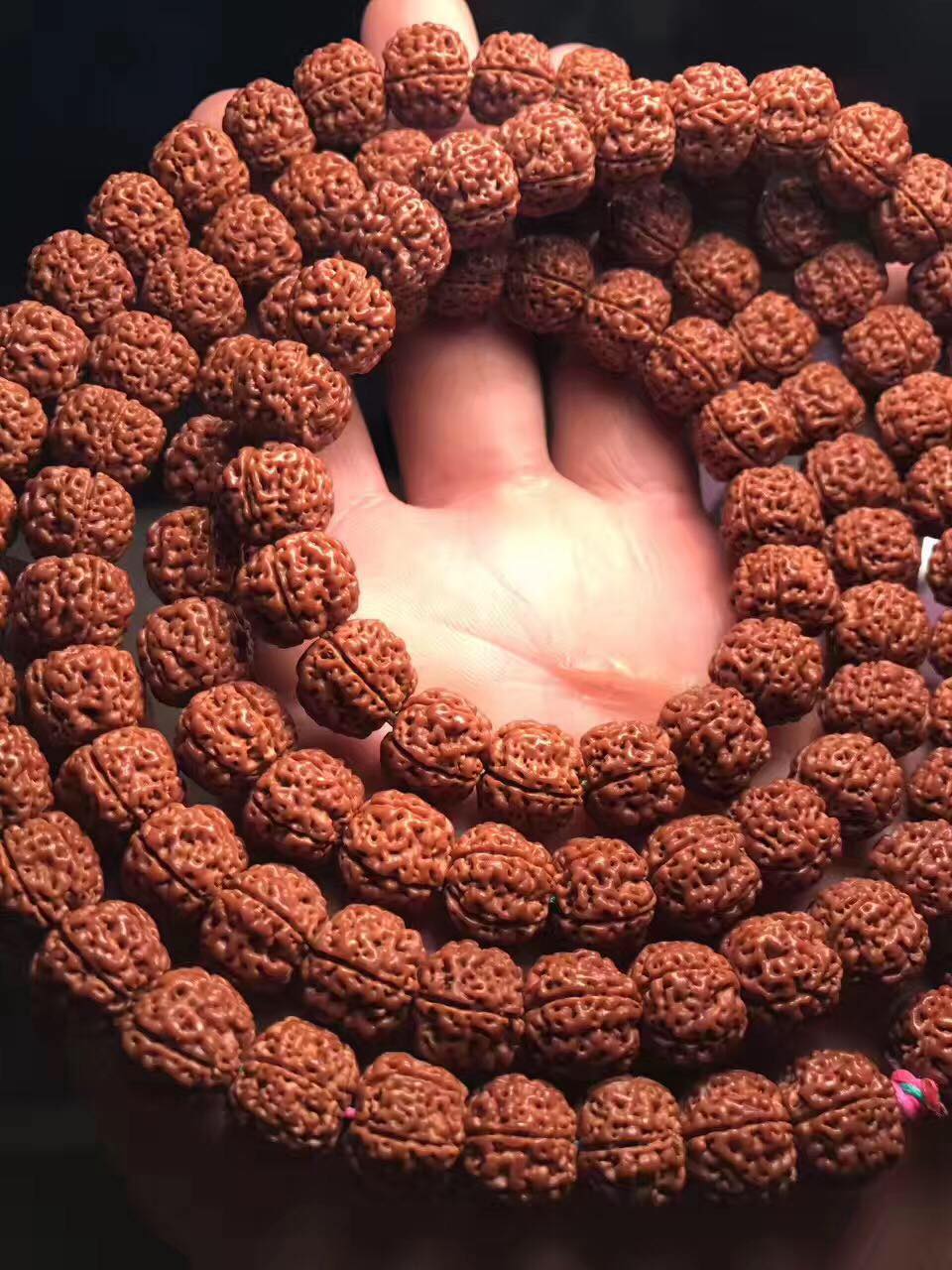 金刚菩提在哪里进货便宜,最好的小金刚菩提子是哪种