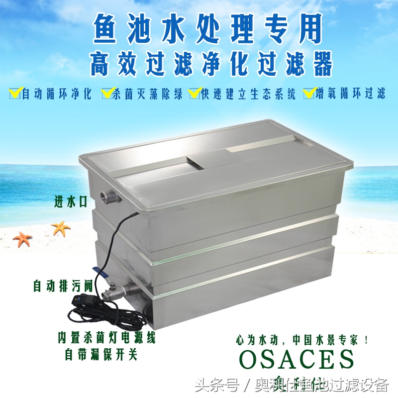 渔夫与美人鱼的故事,美人鱼和小鱼的故事文字