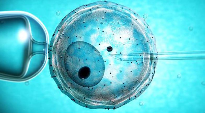 多囊试管多次失败卵子质量不好,多囊试管个人真实案例广州