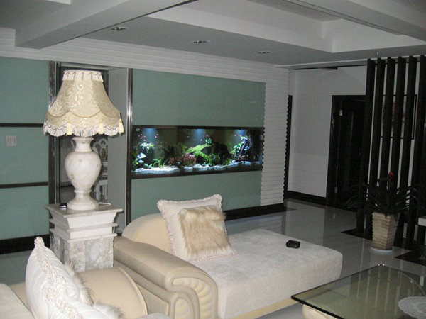 新装修好的房子需要买哪些必需品,新装修的房子卧室放什么植物最好