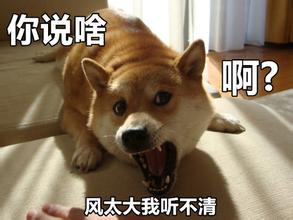 到底孕妇能不能养宠物,怀孕养宠物对胎儿有什么影响