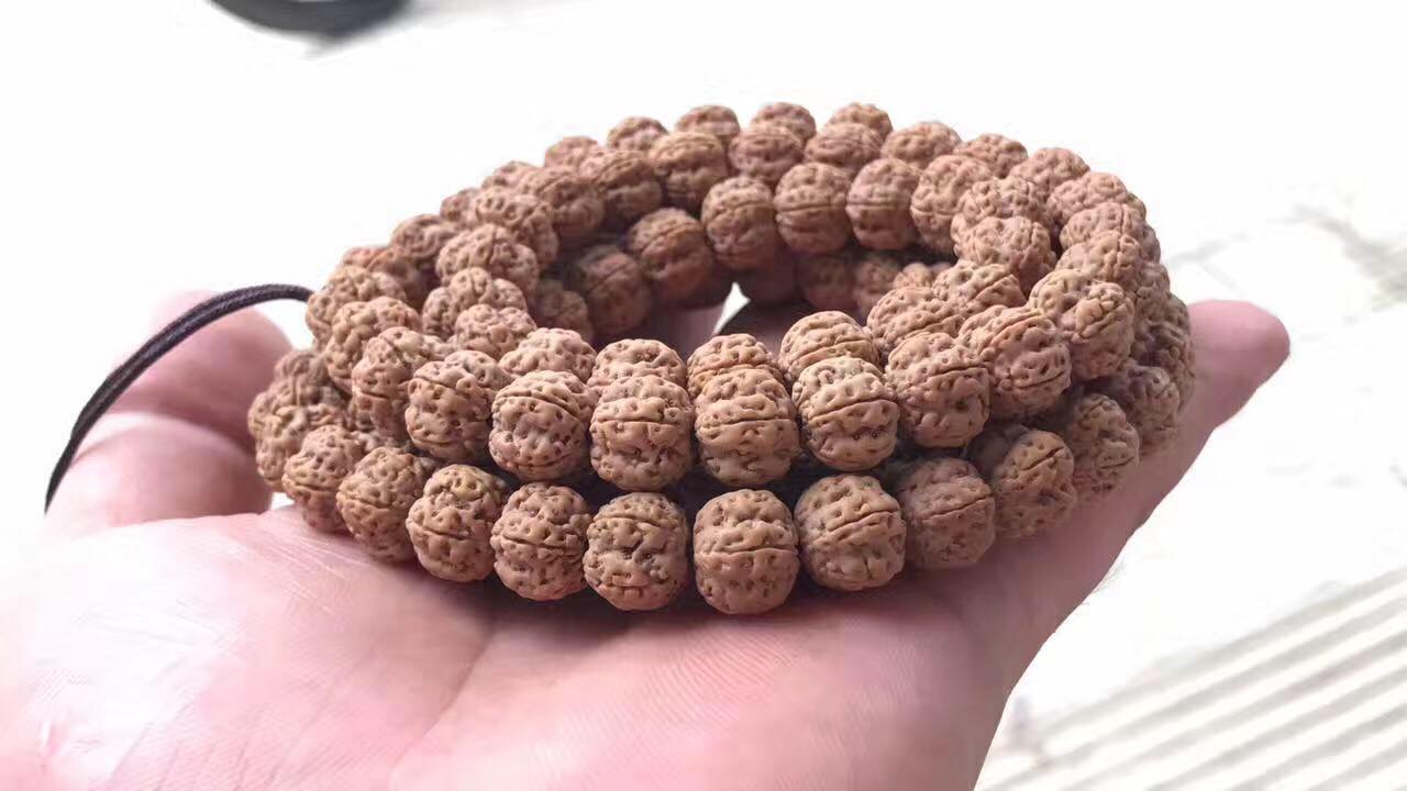 金刚菩提在哪里进货便宜,最好的小金刚菩提子是哪种