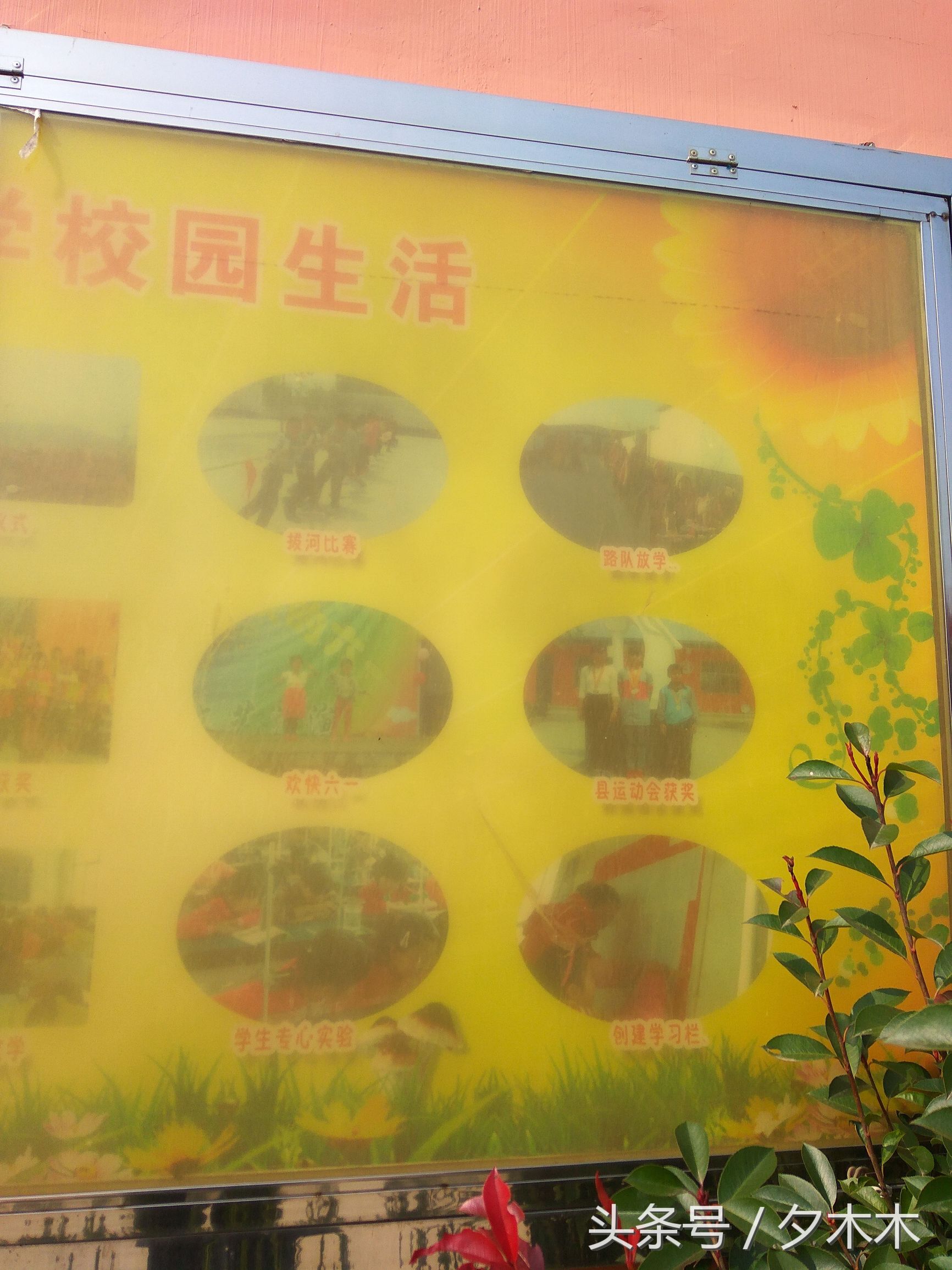 兰陵小学有哪些,兰陵小学开学最新通知