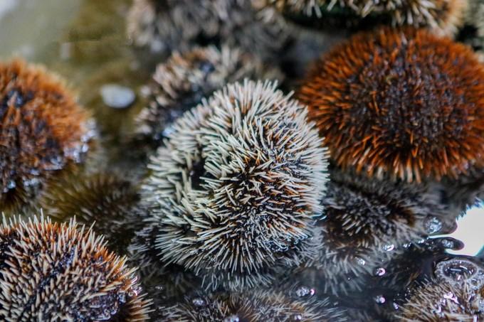 预支一段未来的旅行，带着父母去度假——三亚