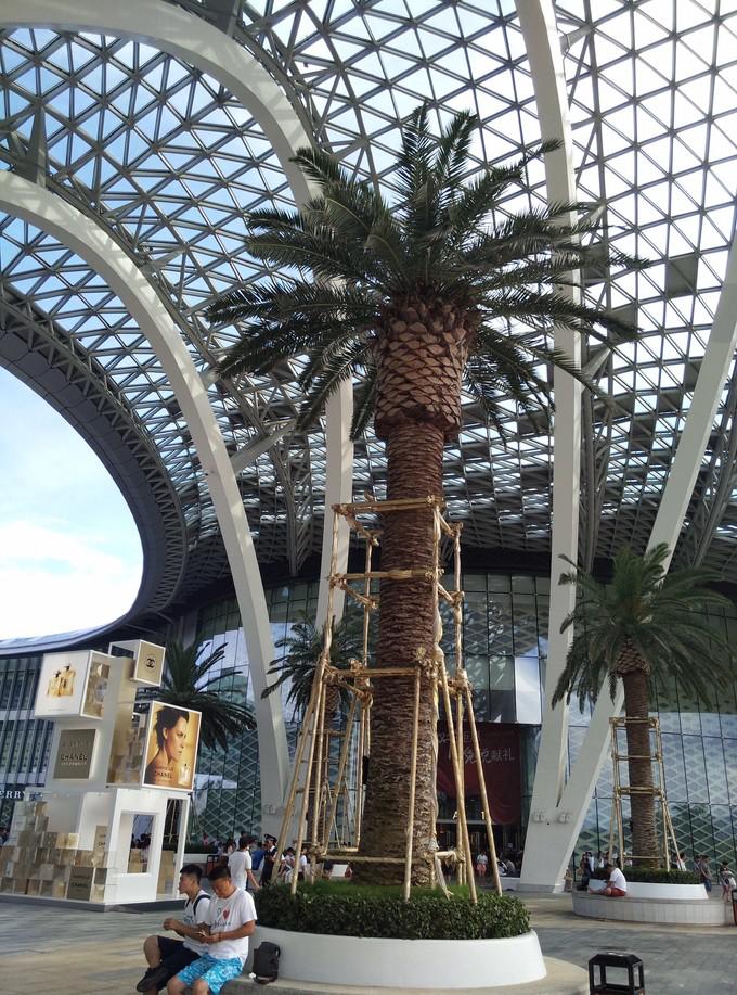 预支一段未来的旅行，带着父母去度假——三亚