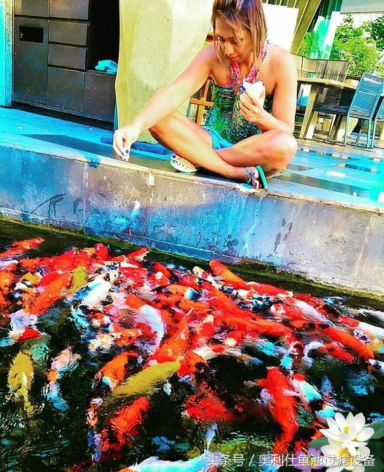 渔夫与美人鱼的故事,美人鱼和小鱼的故事文字