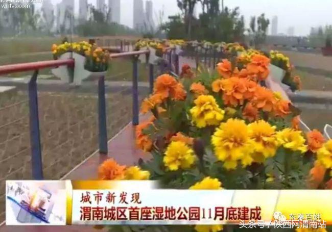 渭南2019.10.14新闻事件,10月16日渭南新闻