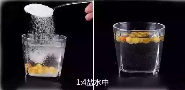 璞缘琥珀坊的价格,琥珀坊蜜蜡真假对比图