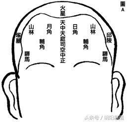 从九贵骨看富贵品级,相学上的九贵骨