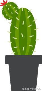 画睫毛：睫毛短而疏？只需1招就能变身完美睫毛精！