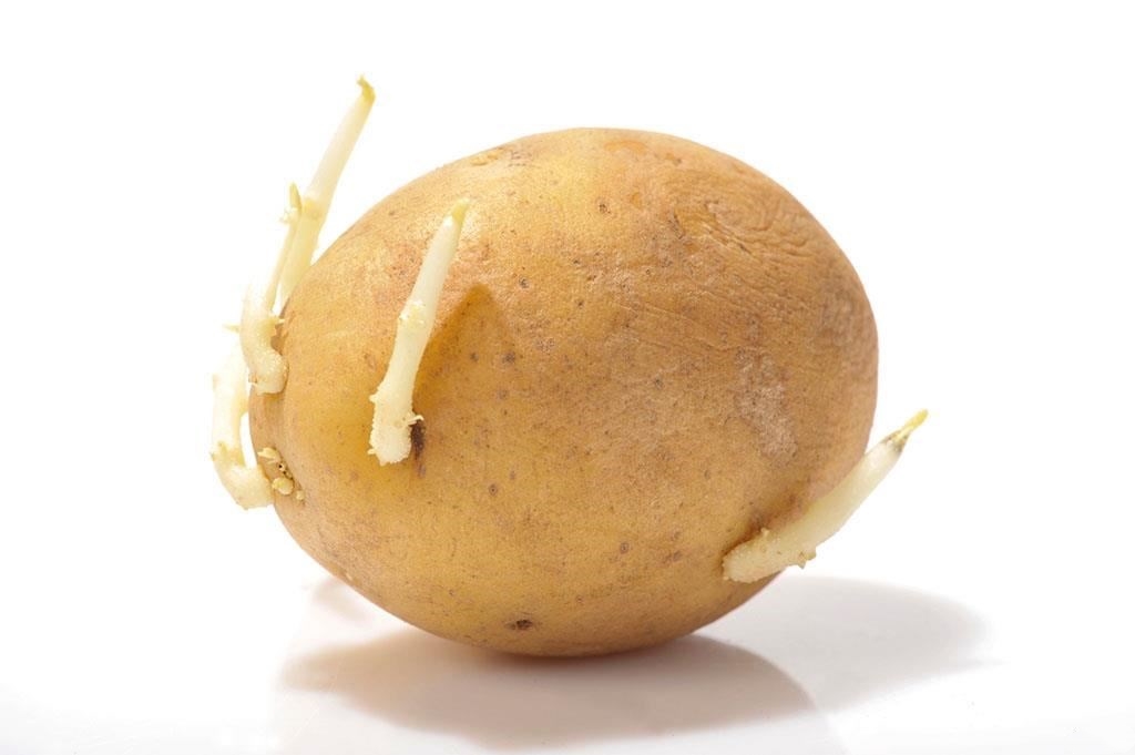 吃错粮食中毒要怎么解毒,吃错食物中毒什么是解药