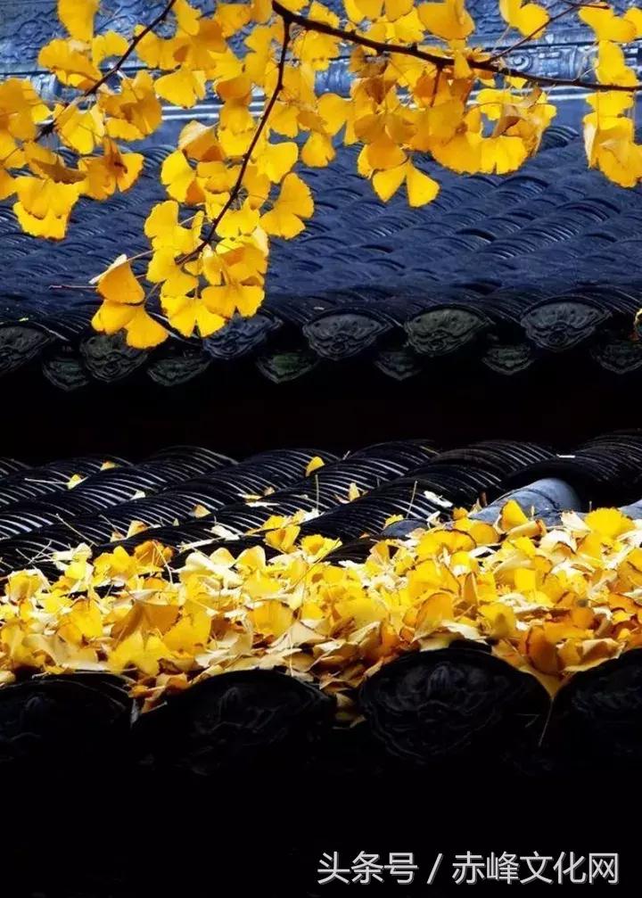 枯草霜花白寒窗月影是什么意思,枯草霜花白寒窗月影新的意思