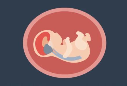 nt是检查什么的什么时候检查最好,nt检查后还有哪些必要的检查