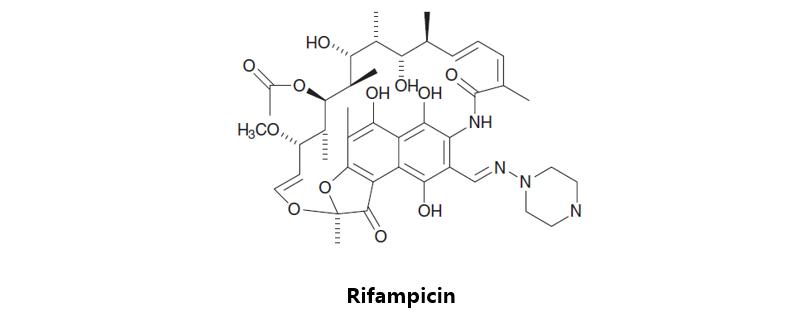 肺结核病的药物研究综述,肺结核的新药研发进展