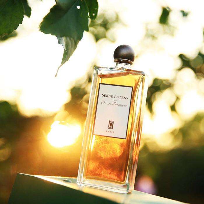 花店玫瑰和百合的香水好闻,多种香水百合