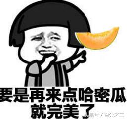 超准的德国吃货测试