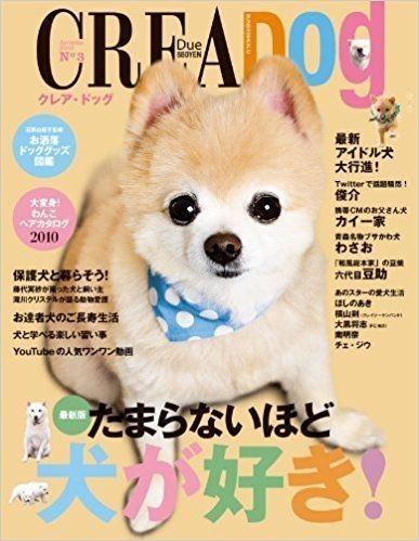 日本网红俊介犬,日本网红柴犬俊介