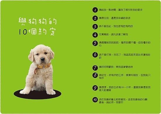 日本网红俊介犬,日本网红柴犬俊介