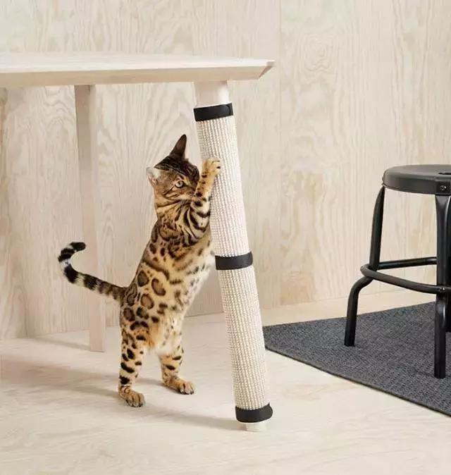 日本代购热销产品,日本代购哪些产品畅销