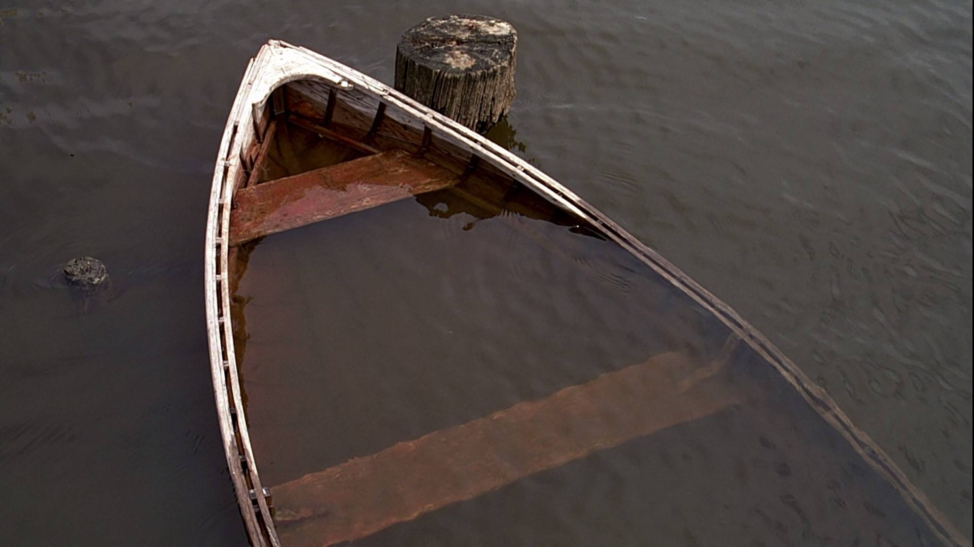 金凯瑞重新演绎楚门经典台词,金凯瑞楚门的世界电影解说