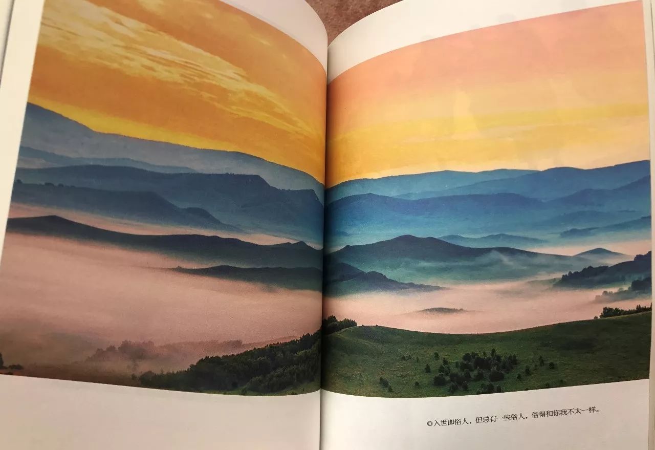 大冰畅销书排行第几,大冰畅销书和谁齐名